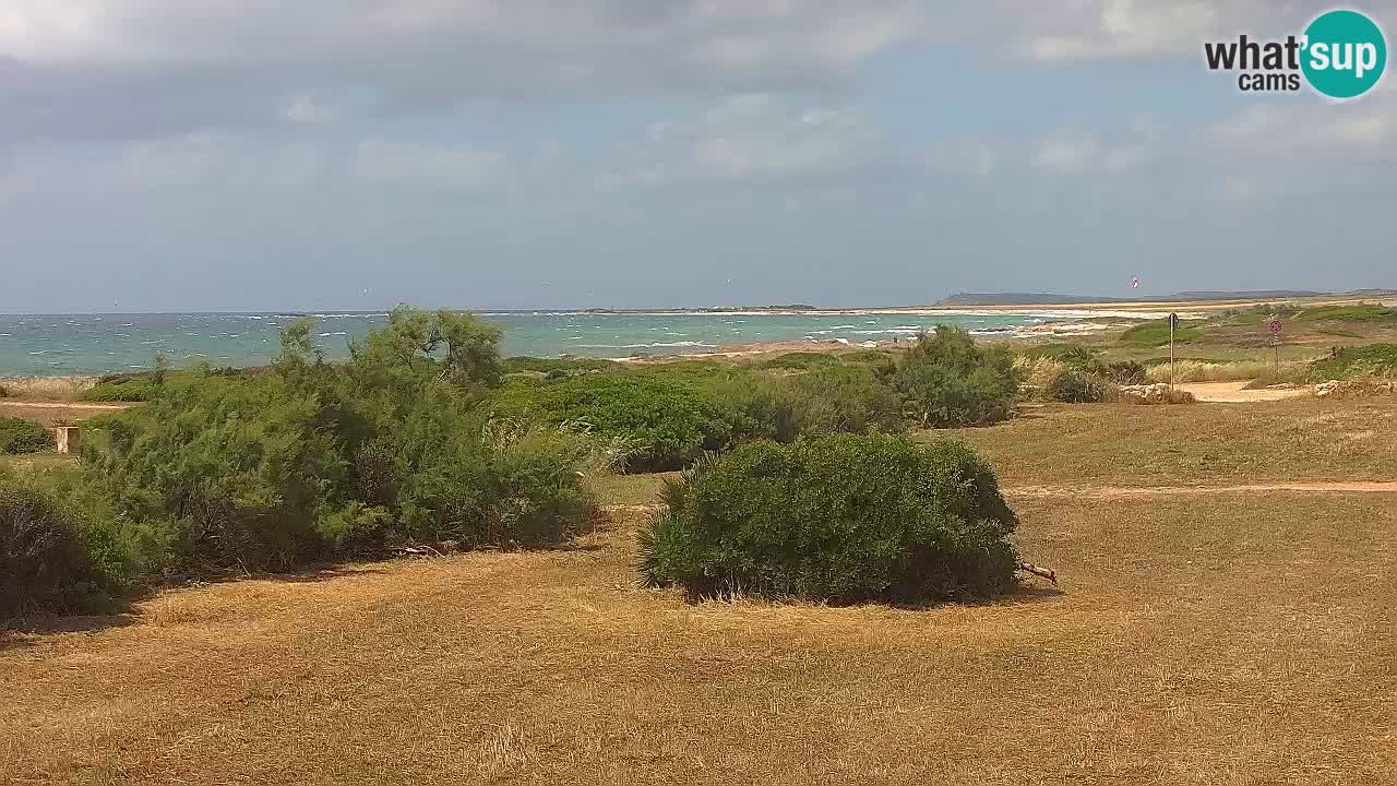 Mari Ermi Strand | Is Arutas – Oristano