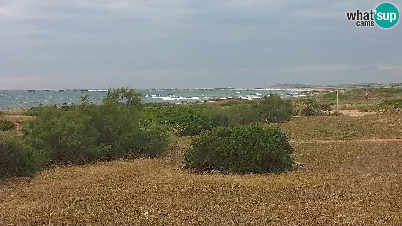 Mari Ermi beach | Is Arutas – Oristano