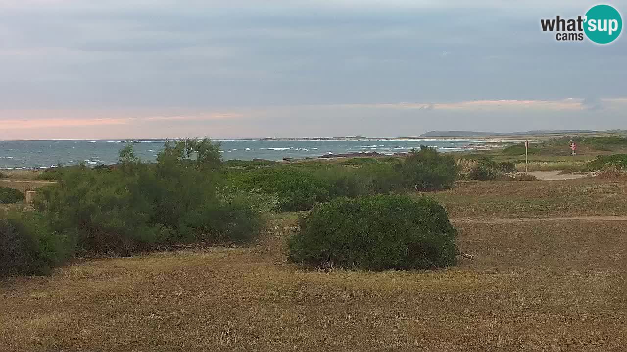 Mari Ermi beach | Is Arutas – Oristano
