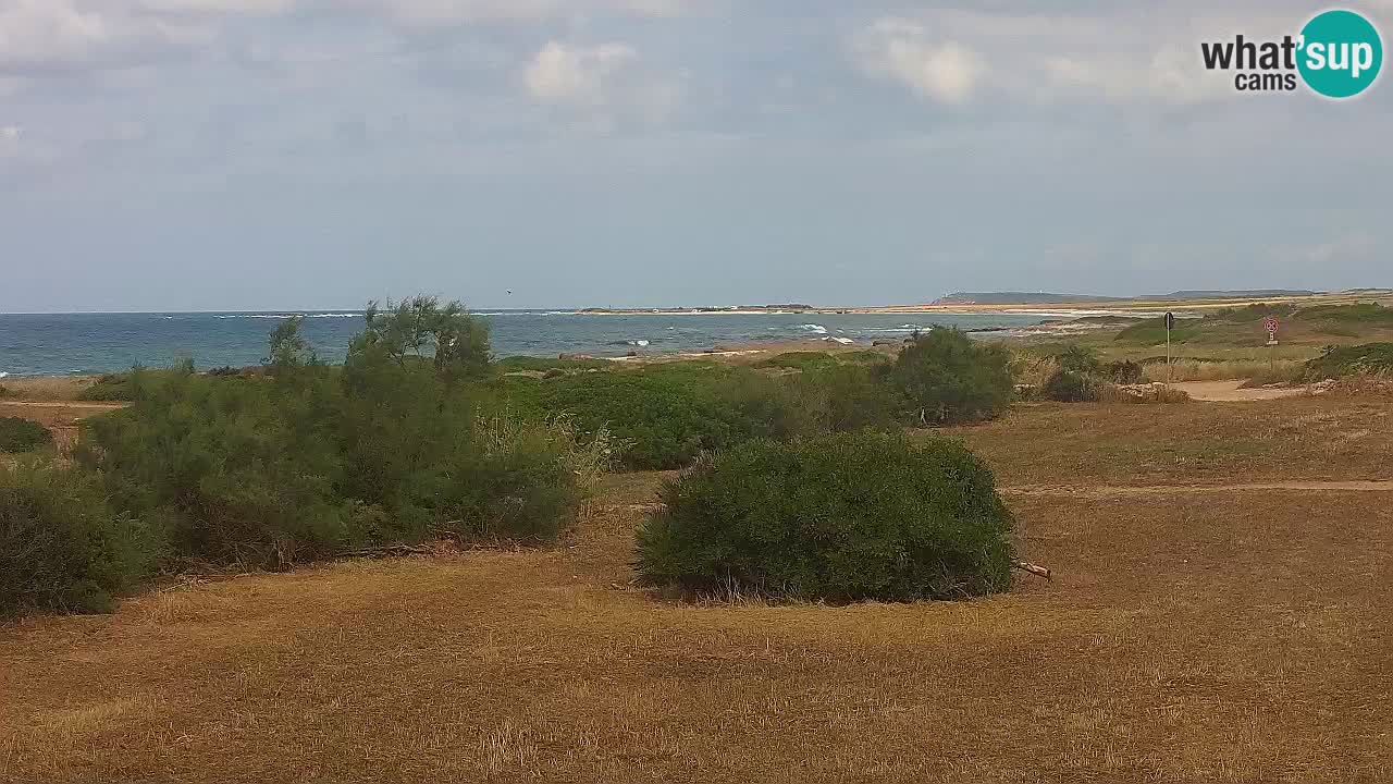 Mari Ermi Strand | Is Arutas – Oristano