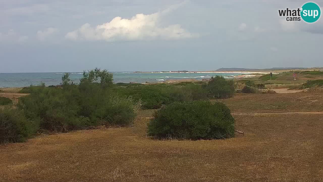 Mari Ermi beach | Is Arutas – Oristano