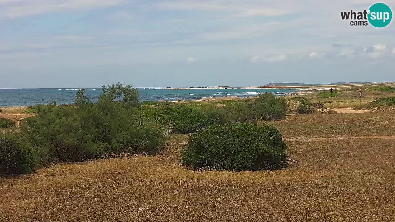 Plaža Mari Ermi | Is Arutas – Oristano