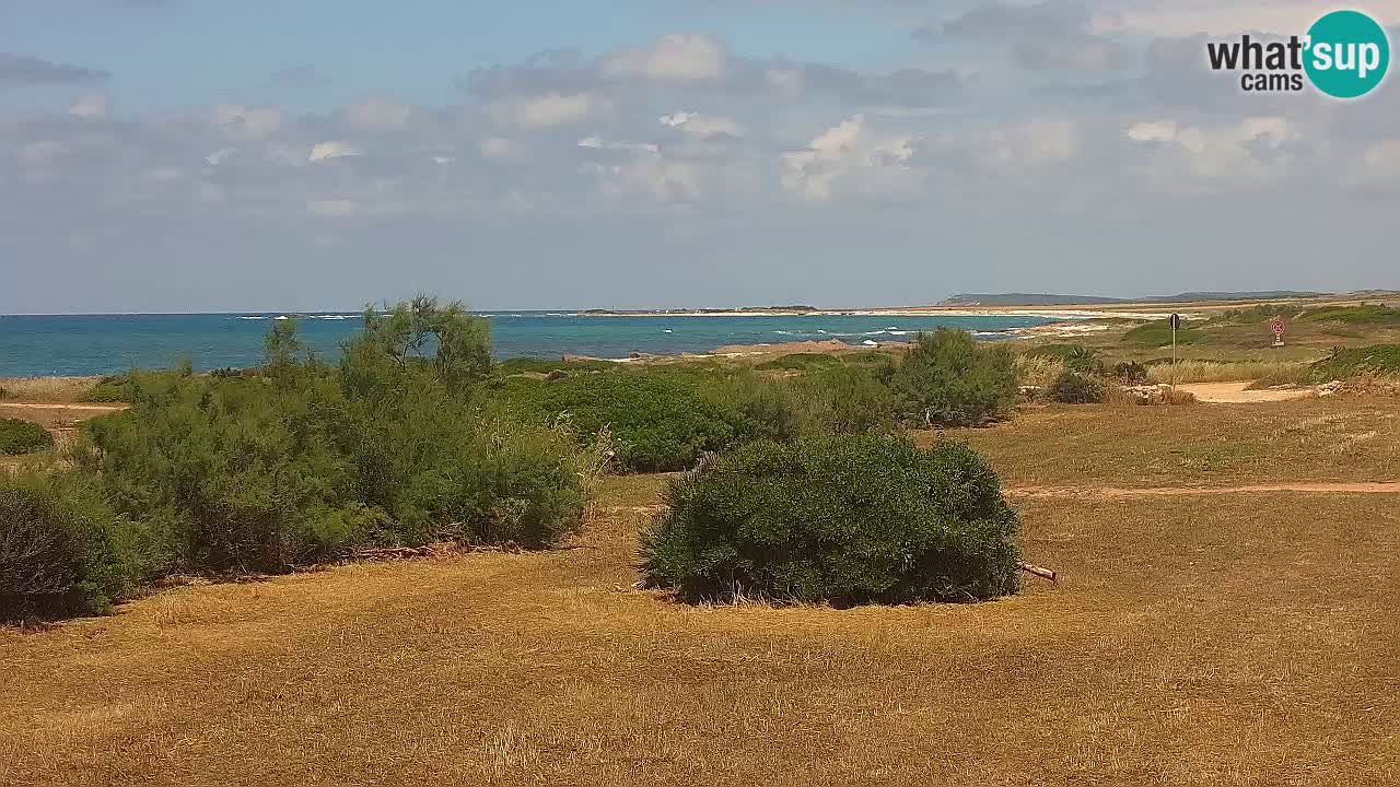 Mari Ermi beach | Is Arutas – Oristano