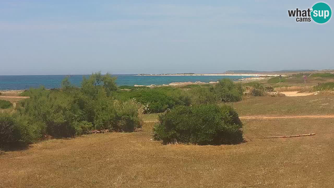 Mari Ermi beach | Is Arutas – Oristano
