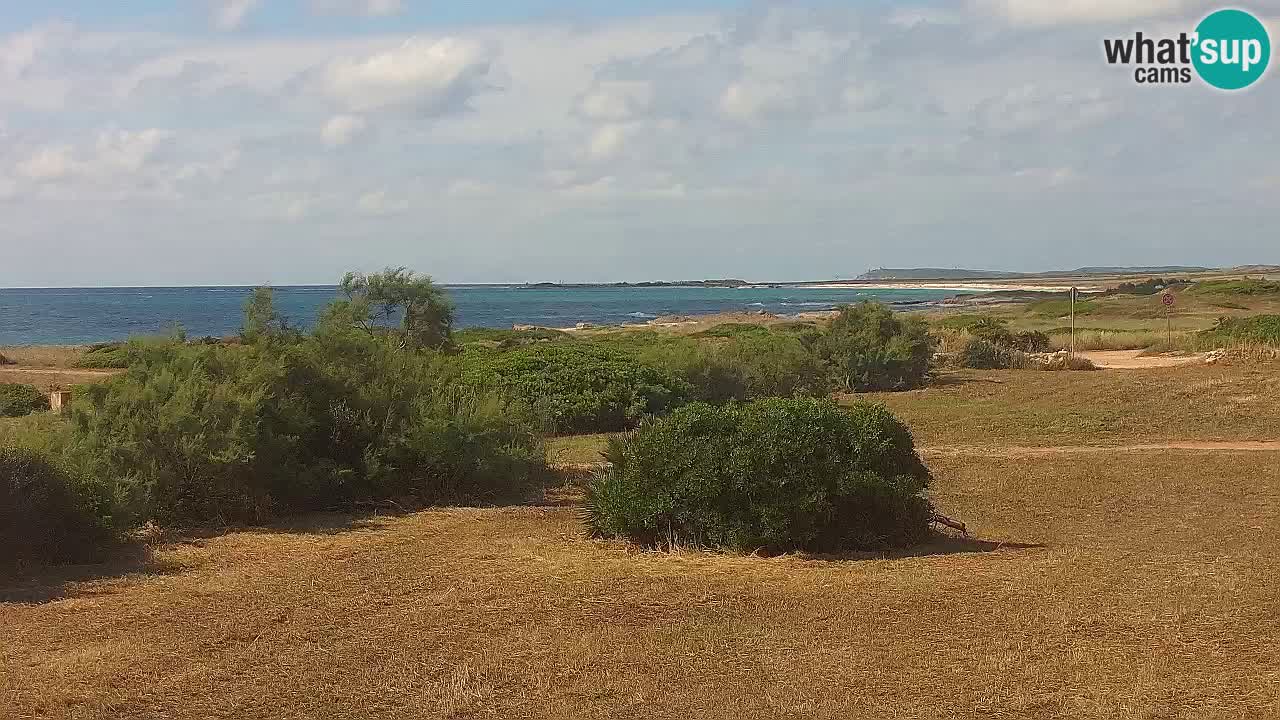 Plage Mari Ermi | Is Arutas – Oristano