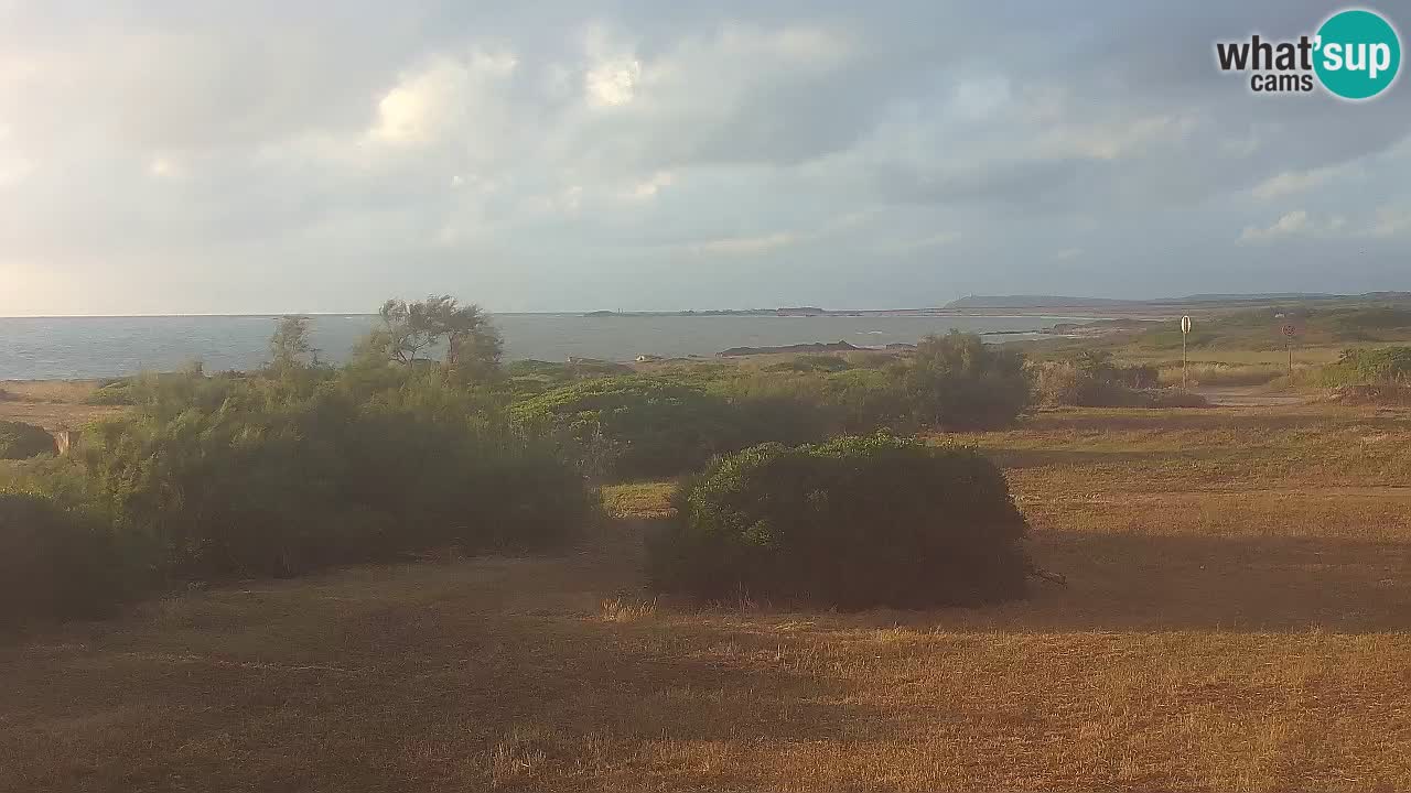 Playa Mari Ermi | Is Arutas – Oristano