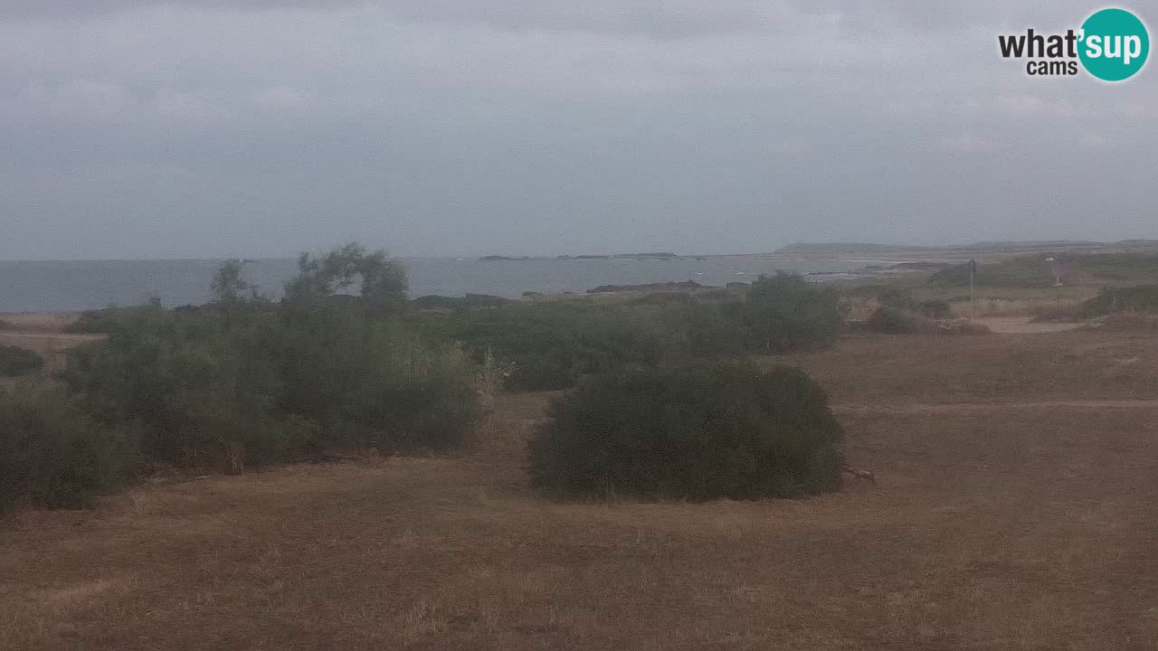 Mari Ermi Strand | Is Arutas – Oristano
