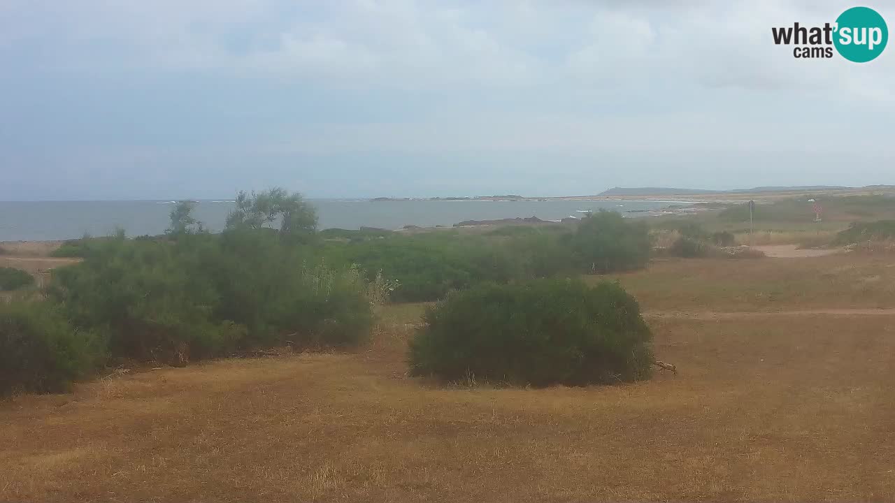 Plaža Mari Ermi | Is Arutas – Oristano