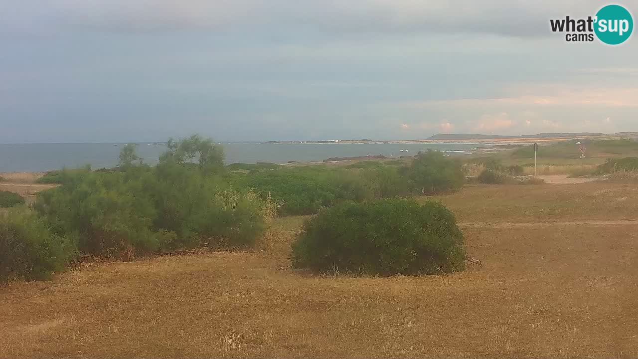 Plage Mari Ermi | Is Arutas – Oristano