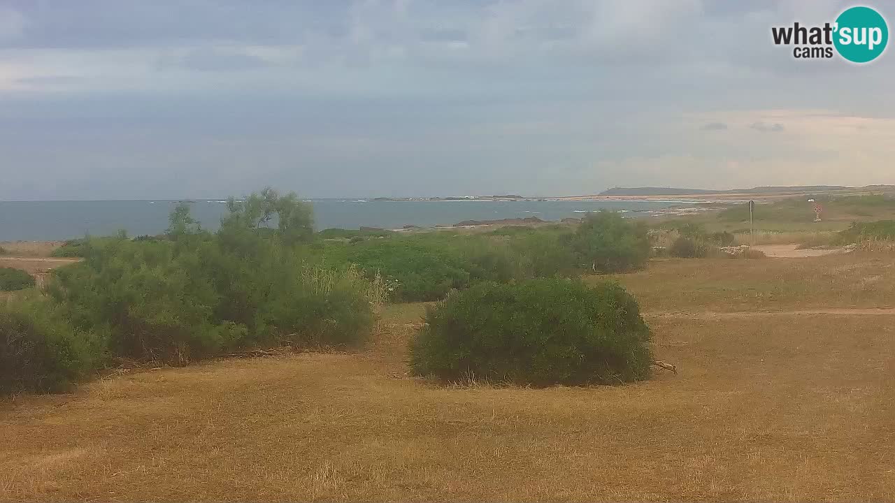 Mari Ermi beach | Is Arutas – Oristano