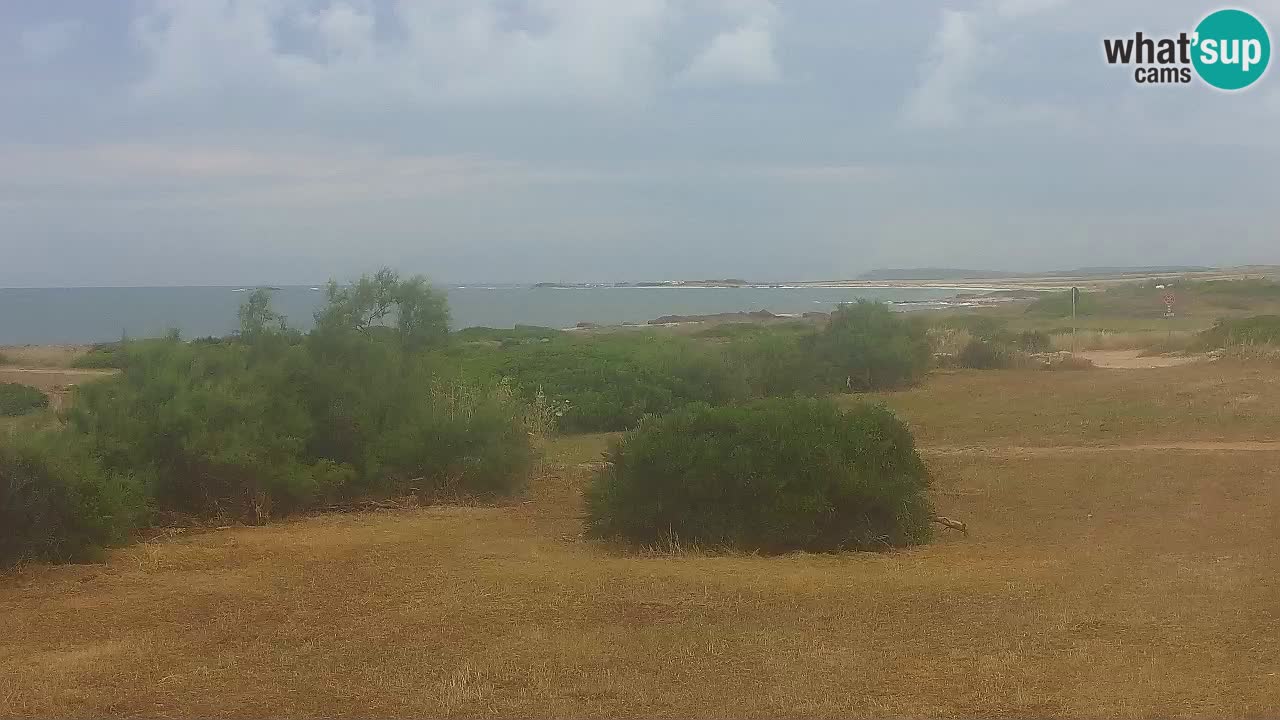 Plaža Mari Ermi | Is Arutas – Oristano
