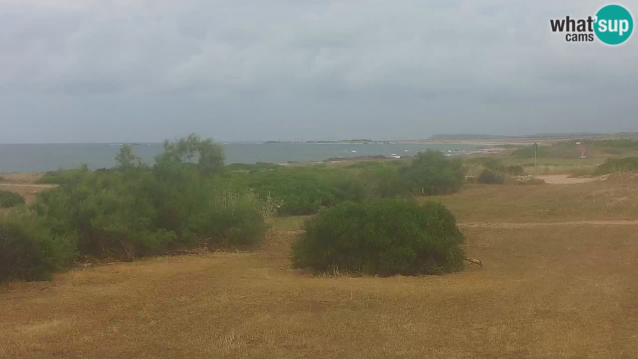 Plaža Mari Ermi | Is Arutas – Oristano