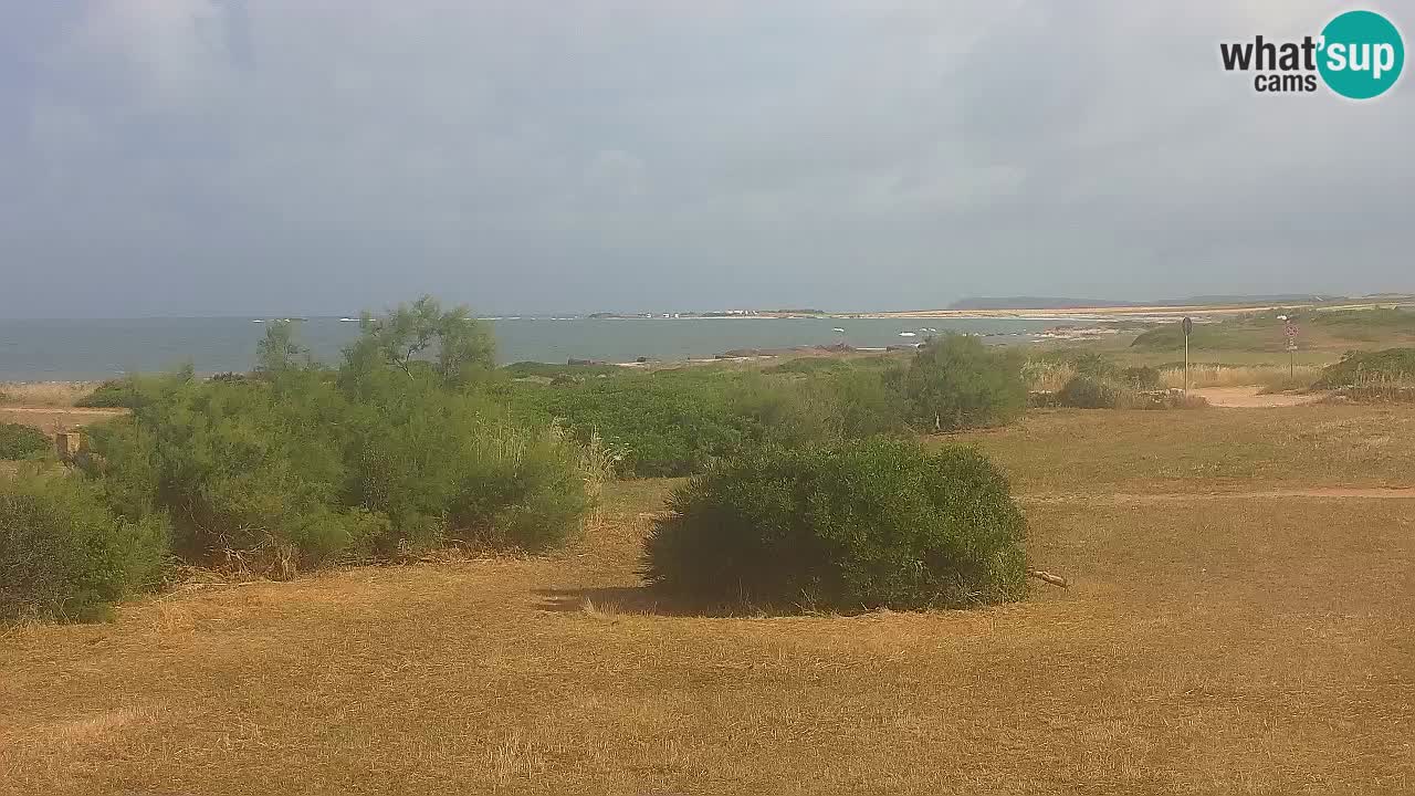 Plaža Mari Ermi | Is Arutas – Oristano
