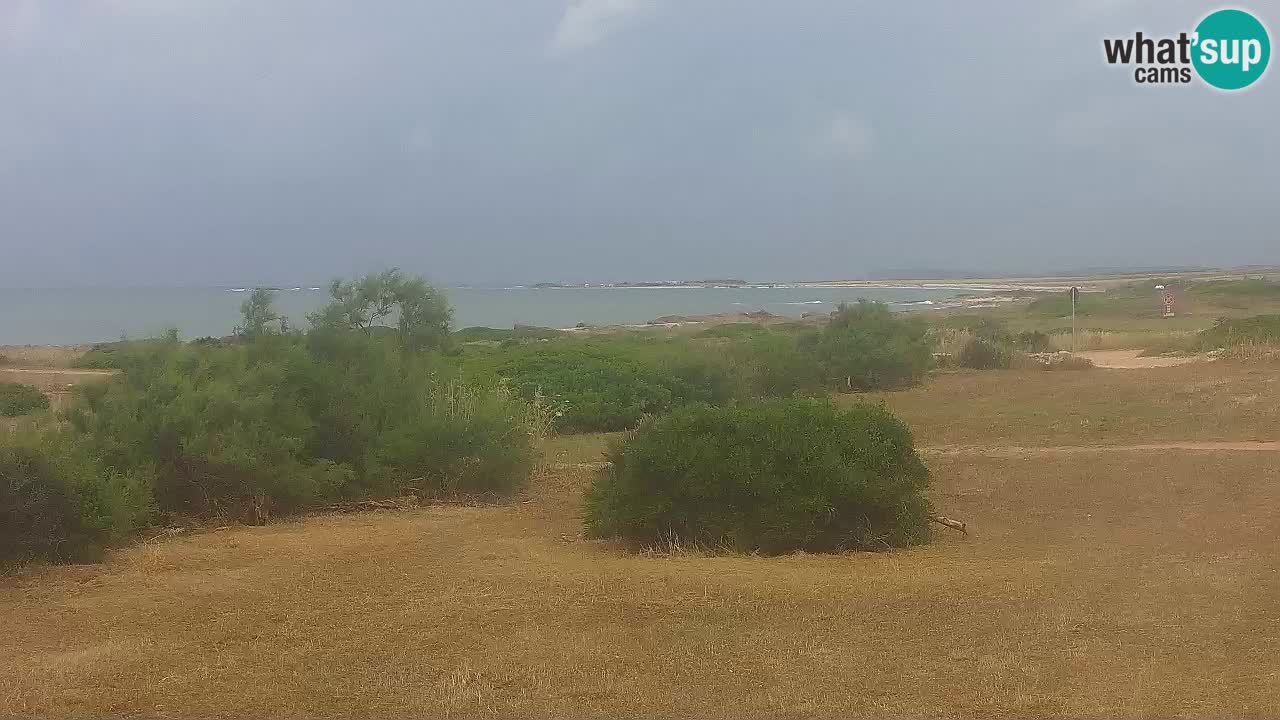 Playa Mari Ermi | Is Arutas – Oristano