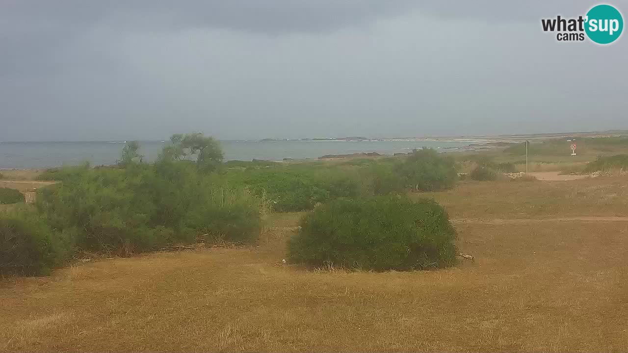 Playa Mari Ermi | Is Arutas – Oristano