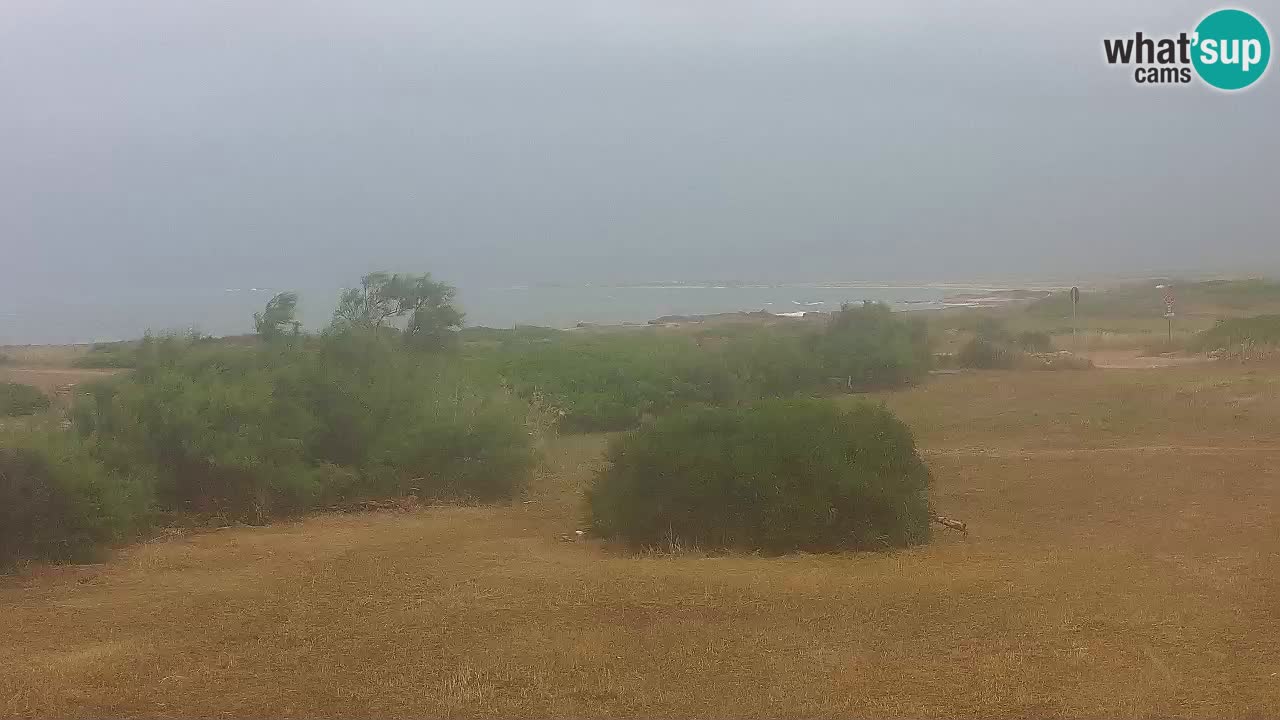 Plage Mari Ermi | Is Arutas – Oristano