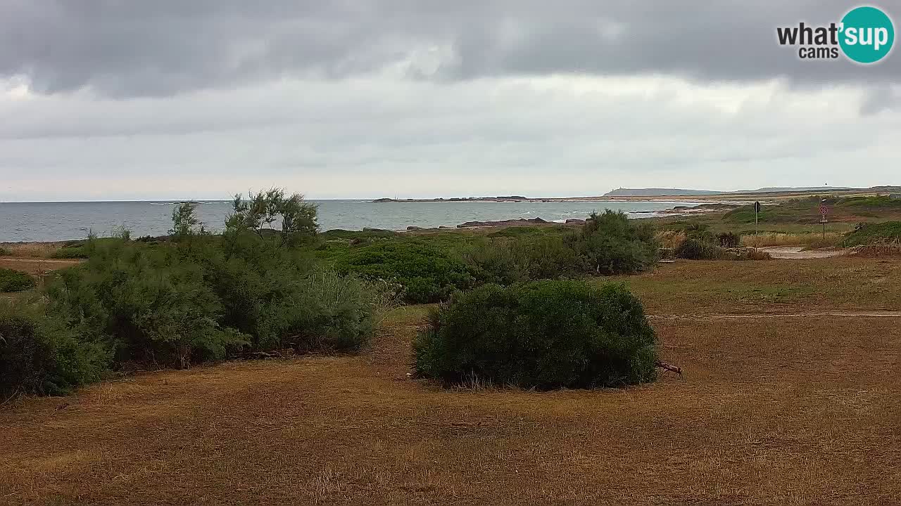 Mari Ermi Strand | Is Arutas – Oristano
