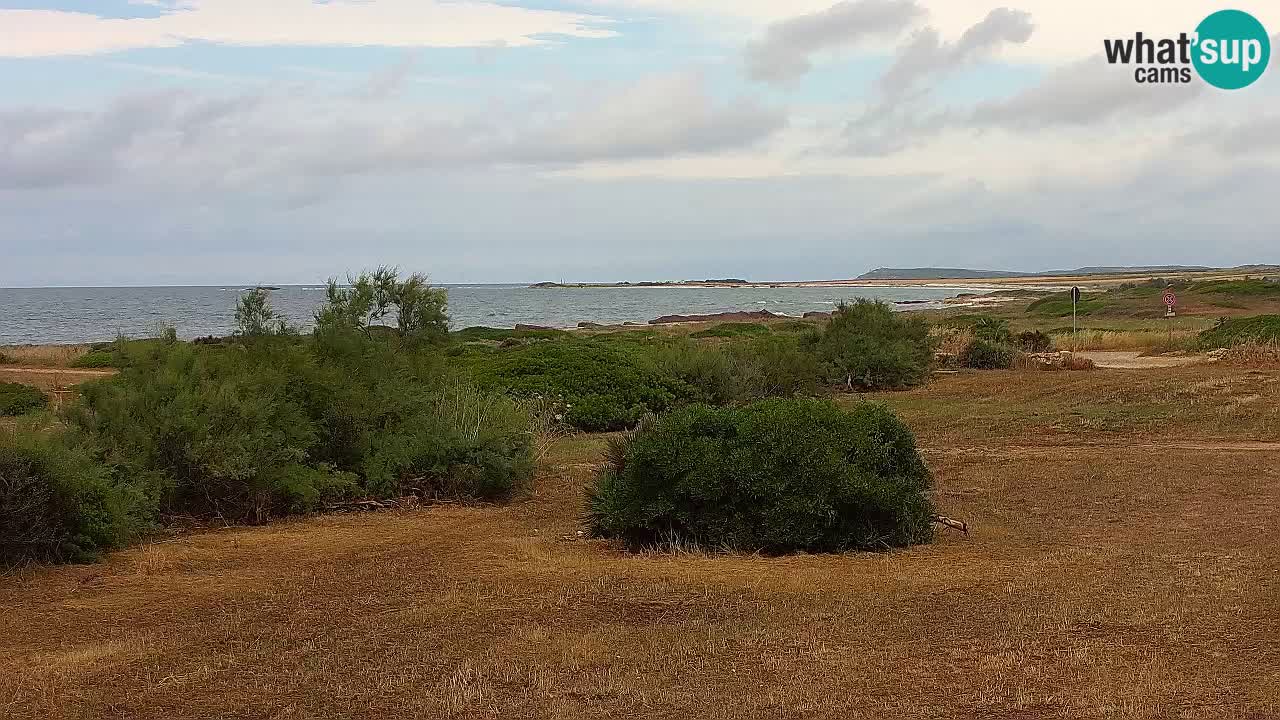 Playa Mari Ermi | Is Arutas – Oristano