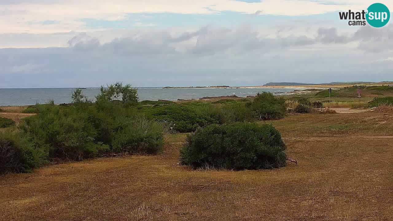 Mari Ermi Strand | Is Arutas – Oristano