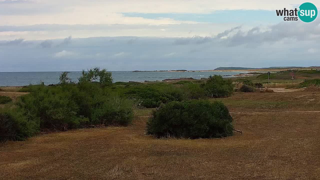 Plaža Mari Ermi | Is Arutas – Oristano
