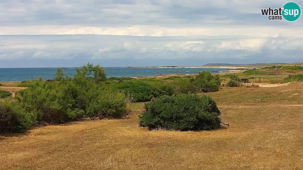 Mari Ermi beach | Is Arutas – Oristano