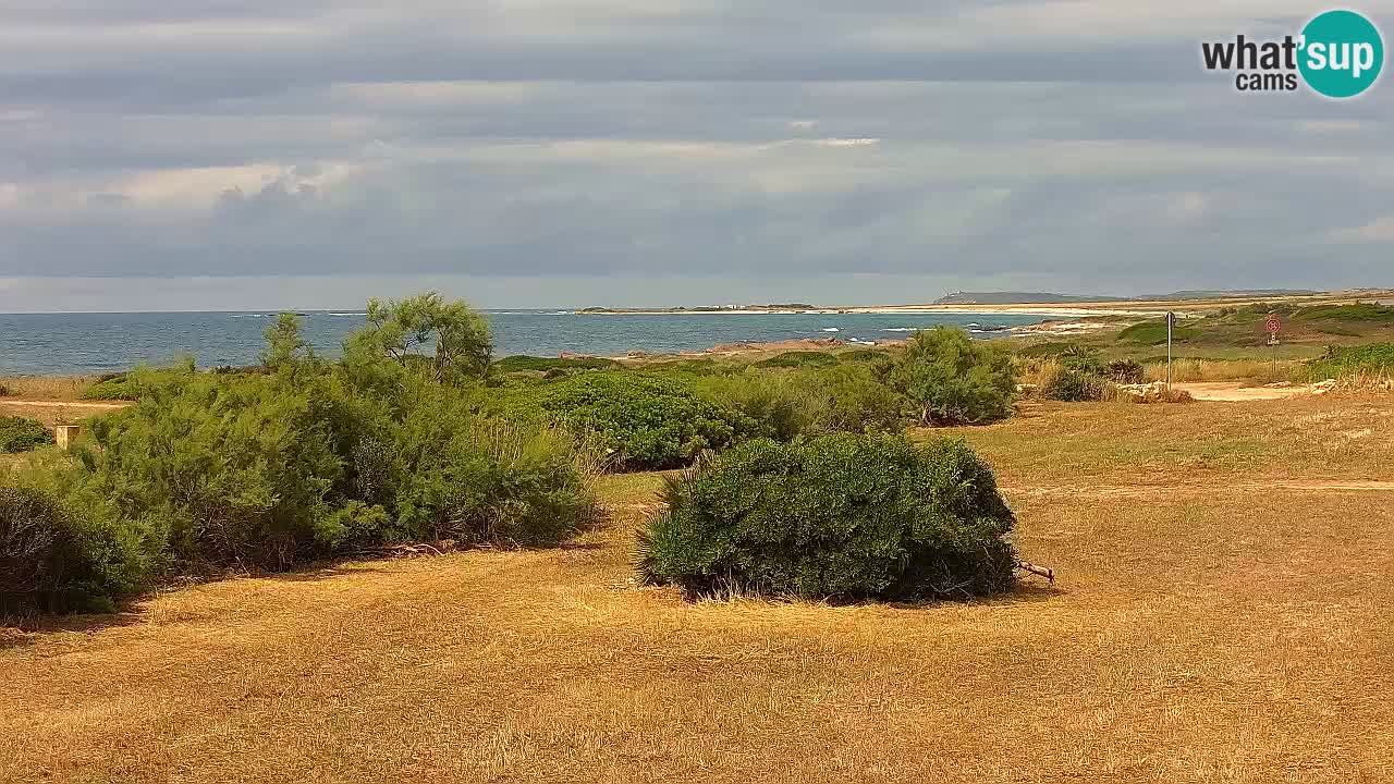 Mari Ermi beach | Is Arutas – Oristano
