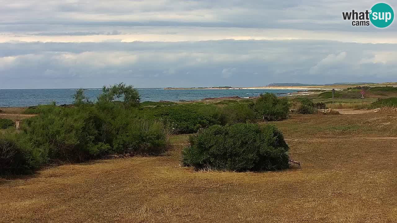 Plage Mari Ermi | Is Arutas – Oristano
