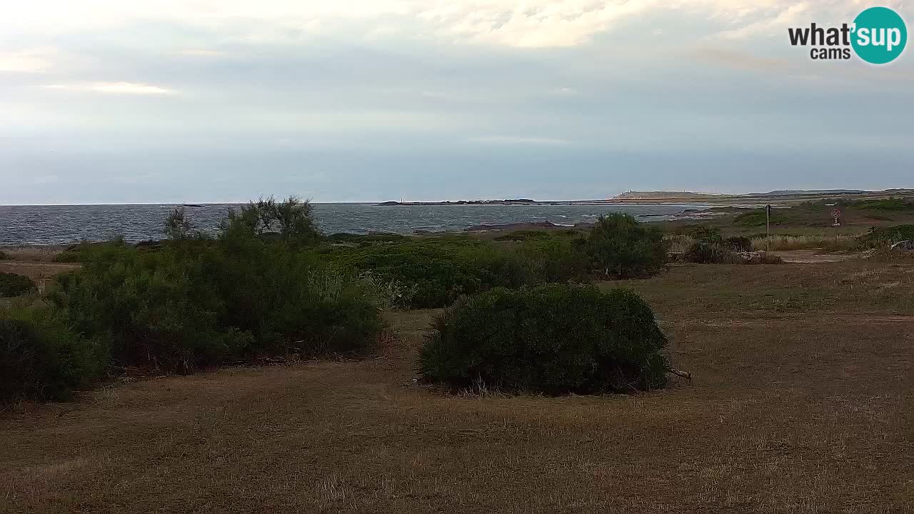 Mari Ermi Strand | Is Arutas – Oristano
