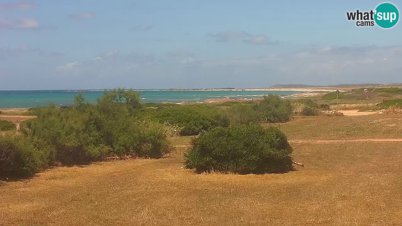 Spiaggia Mari Ermi | Is Arutas – Oristano