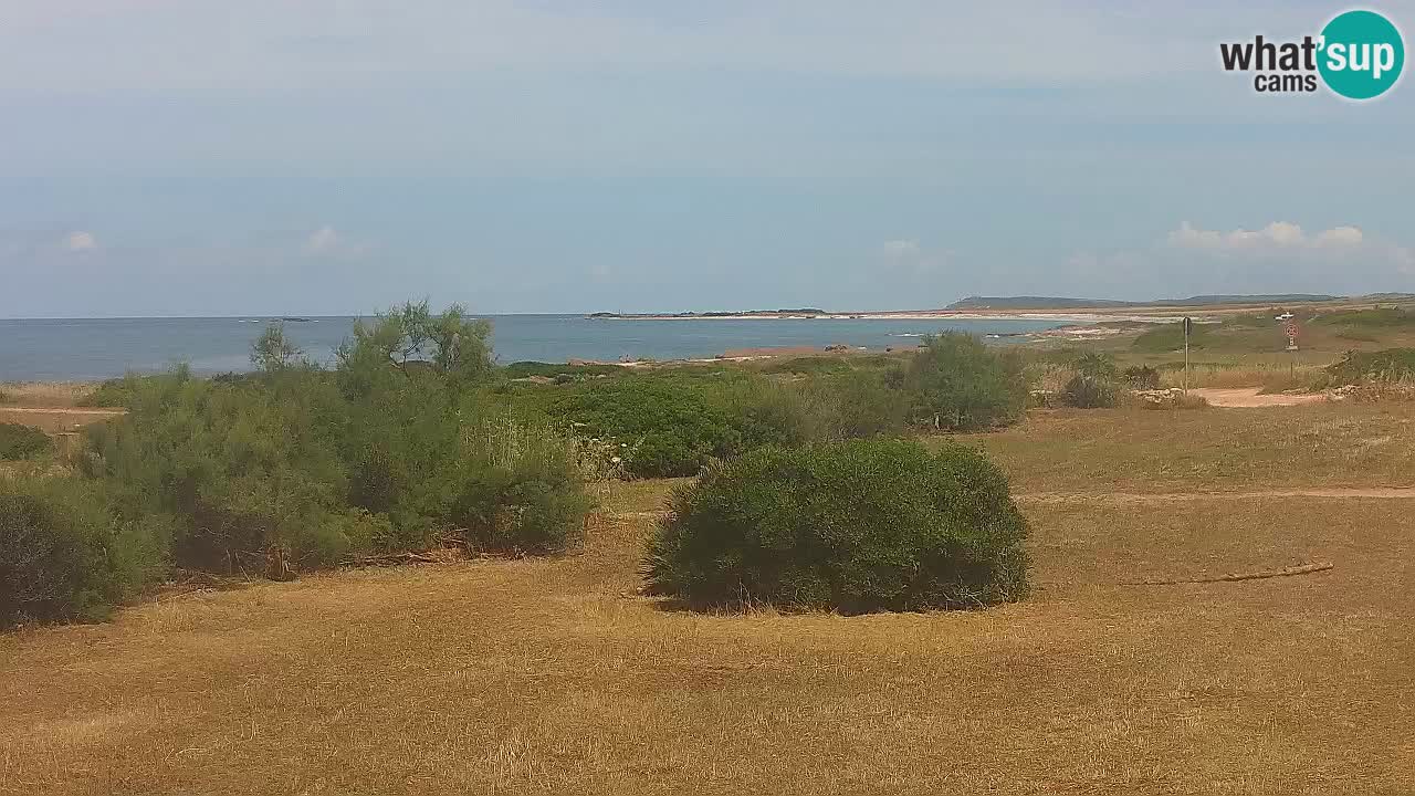 Mari Ermi Strand | Is Arutas – Oristano