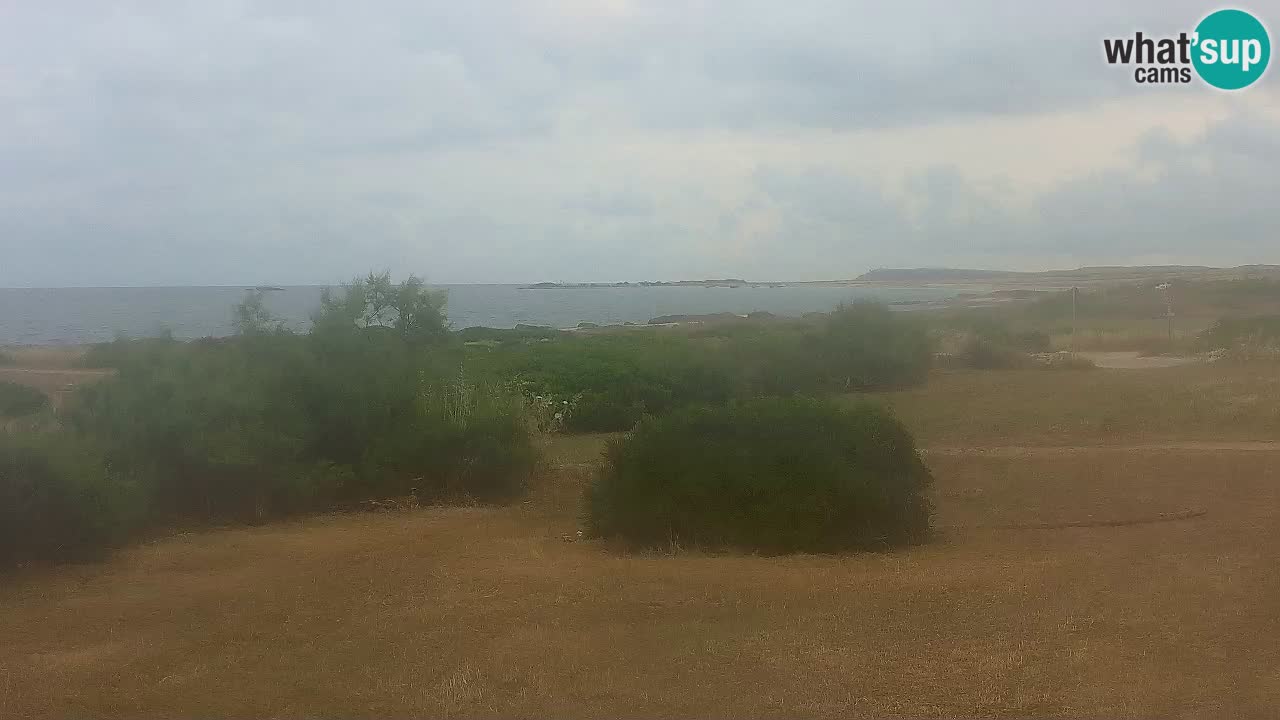 Playa Mari Ermi | Is Arutas – Oristano
