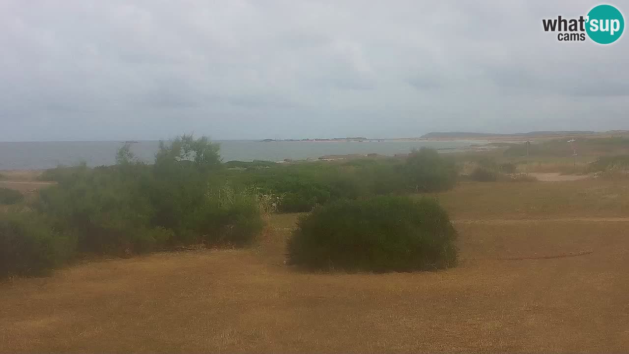 Plaža Mari Ermi | Is Arutas – Oristano