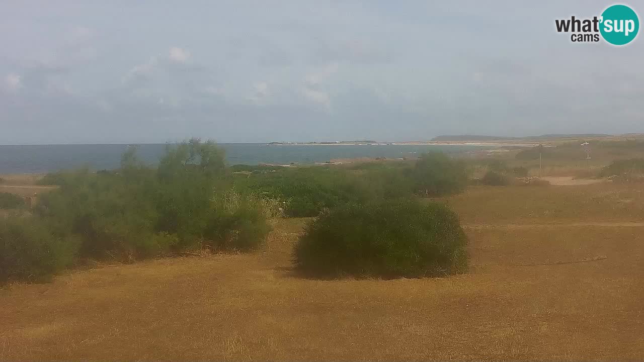 Plage Mari Ermi | Is Arutas – Oristano