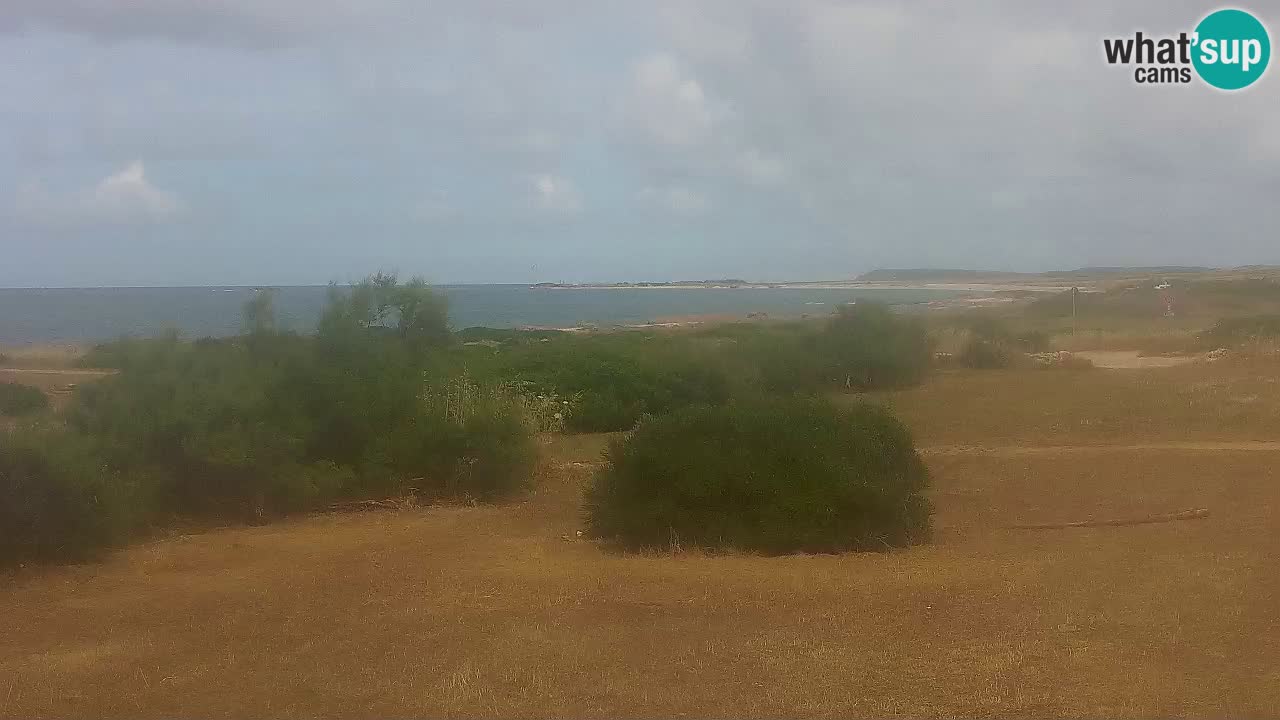 Plaža Mari Ermi | Is Arutas – Oristano