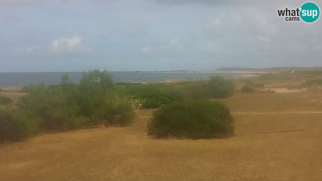 Plaža Mari Ermi | Is Arutas – Oristano