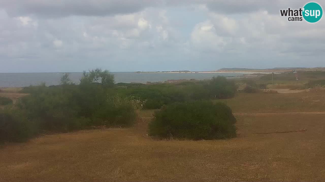 Plaža Mari Ermi | Is Arutas – Oristano