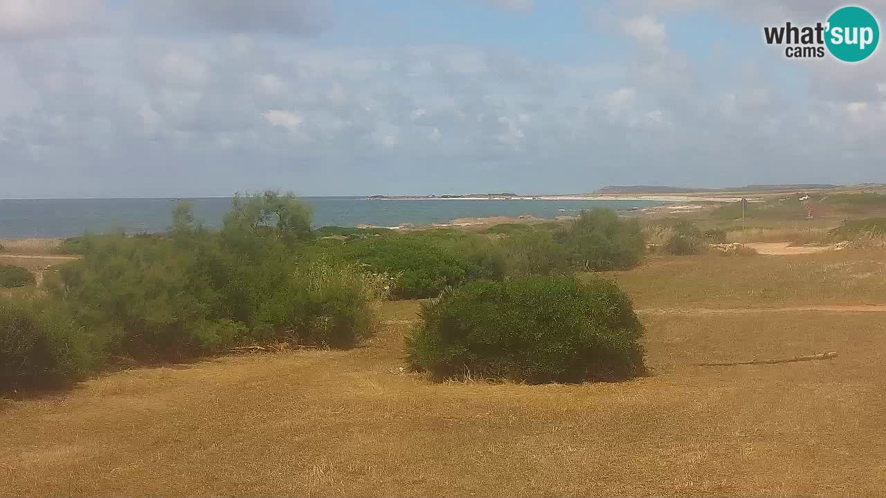 Plage Mari Ermi | Is Arutas – Oristano