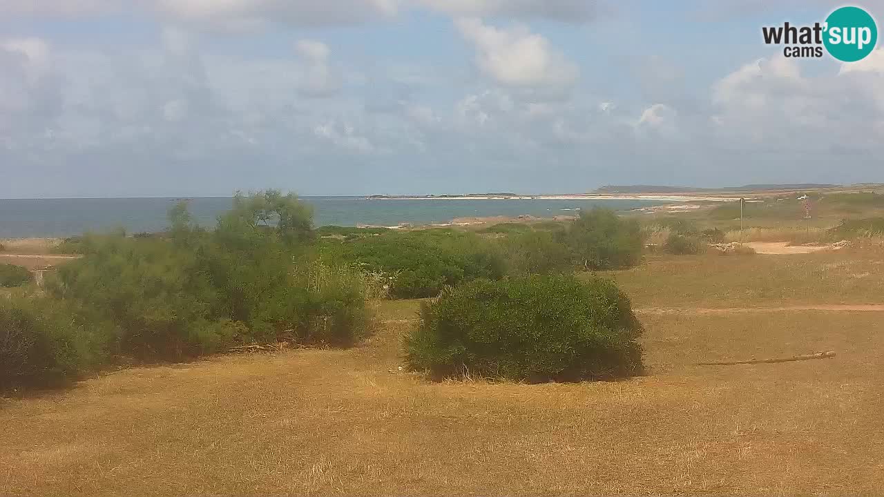 Spiaggia Mari Ermi | Is Arutas – Oristano