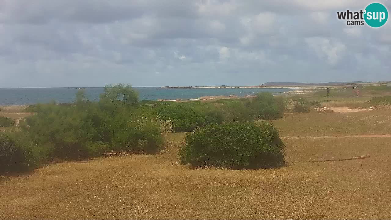 Plaža Mari Ermi | Is Arutas – Oristano