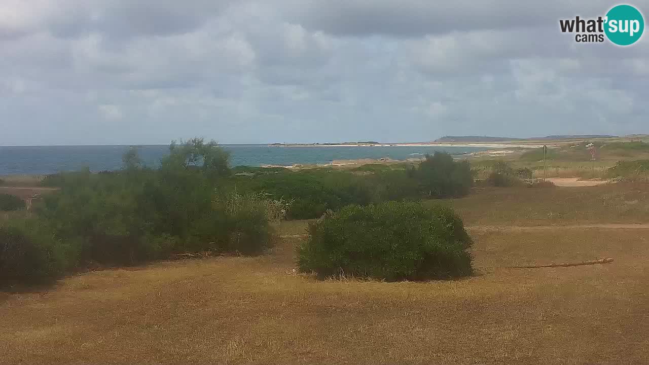 Plaža Mari Ermi | Is Arutas – Oristano