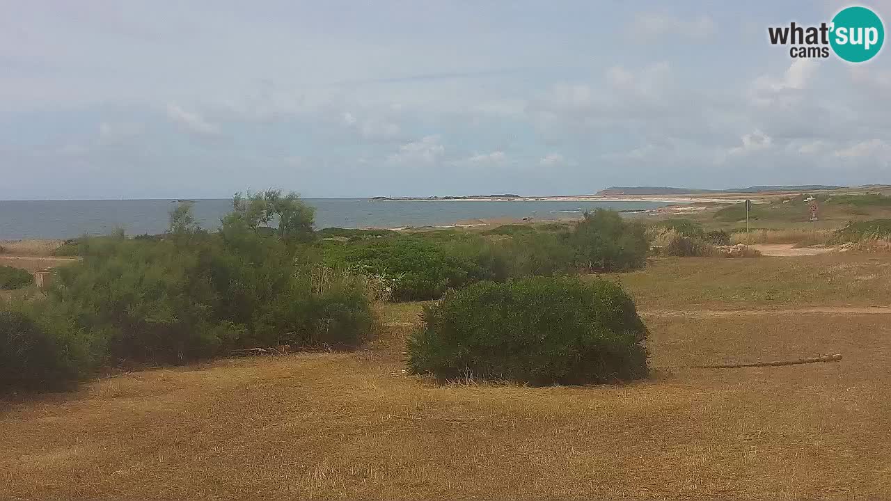 Plaža Mari Ermi | Is Arutas – Oristano