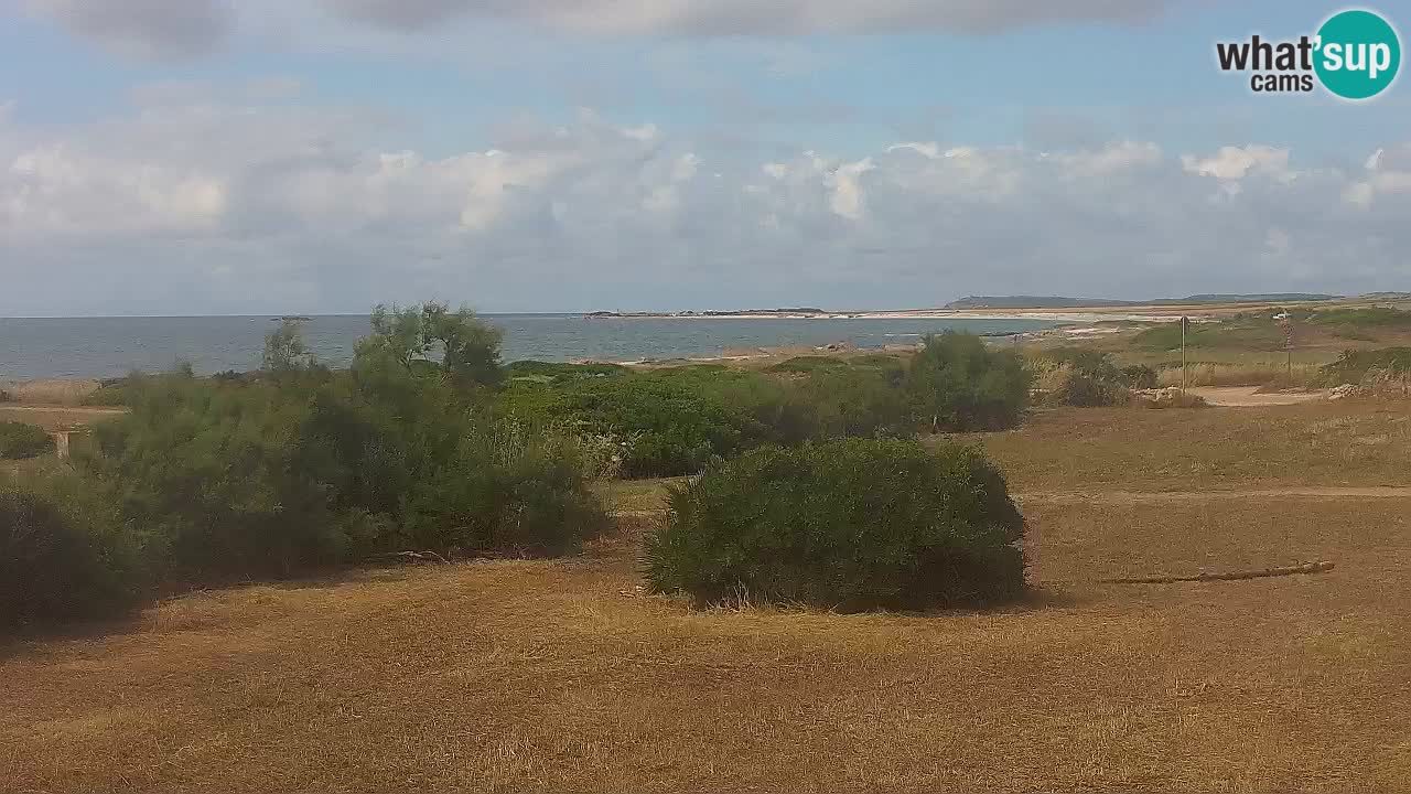 Mari Ermi Strand | Is Arutas – Oristano
