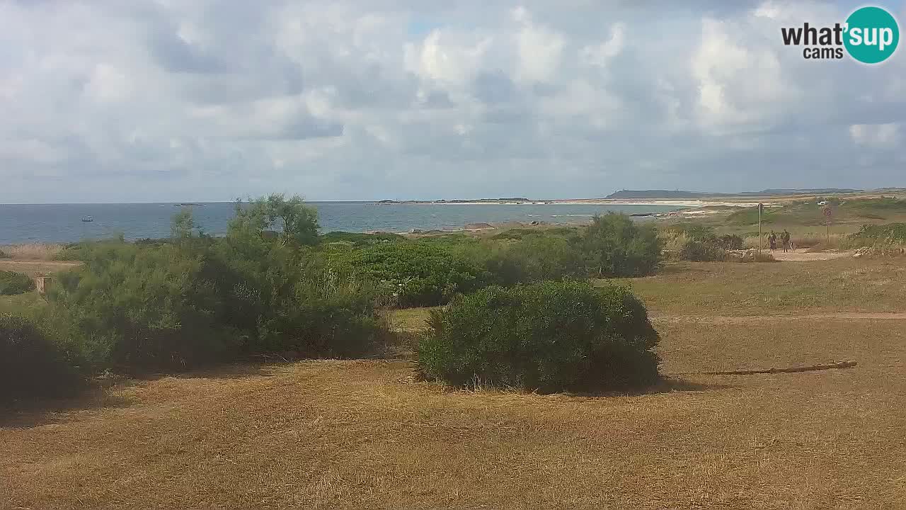 Plage Mari Ermi | Is Arutas – Oristano