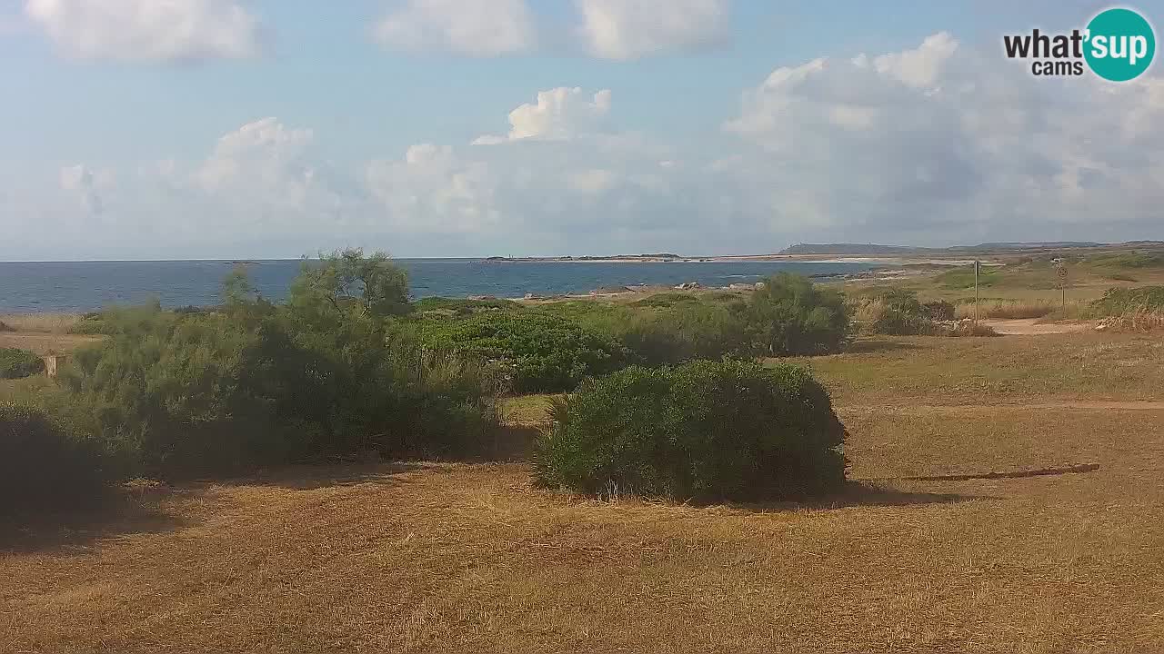 Playa Mari Ermi | Is Arutas – Oristano