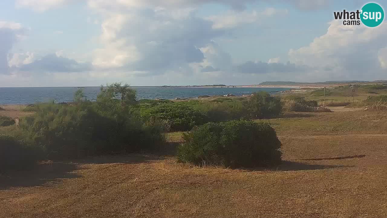 Playa Mari Ermi | Is Arutas – Oristano