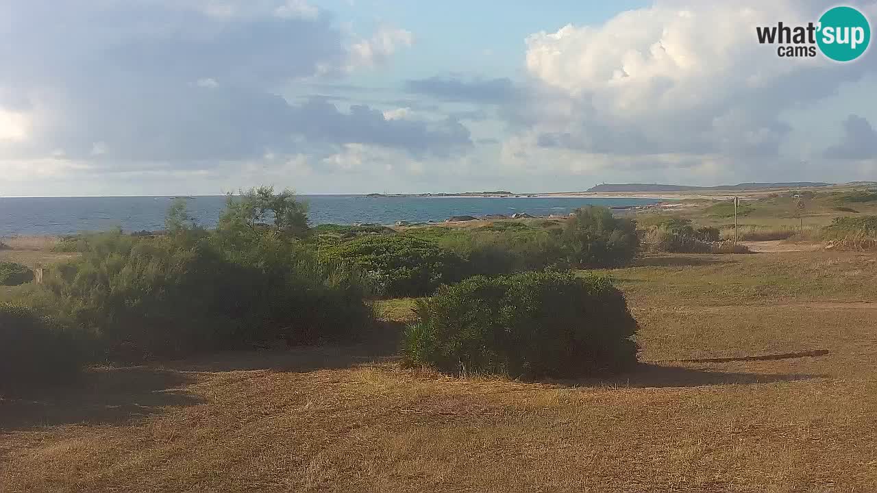Playa Mari Ermi | Is Arutas – Oristano