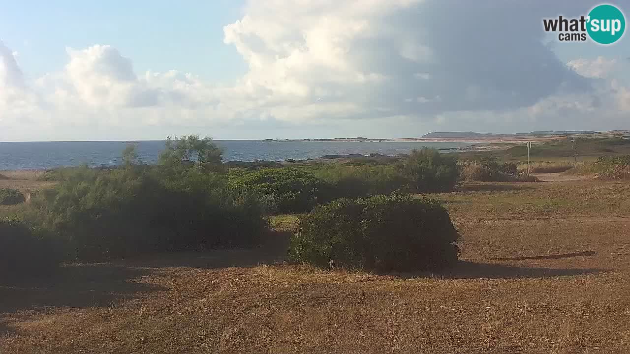 Plaža Mari Ermi | Is Arutas – Oristano