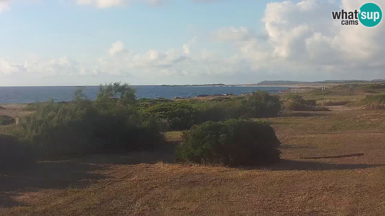 Plaža Mari Ermi | Is Arutas – Oristano