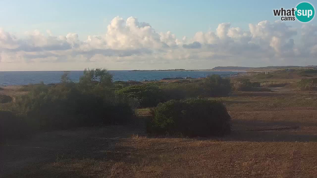 Playa Mari Ermi | Is Arutas – Oristano