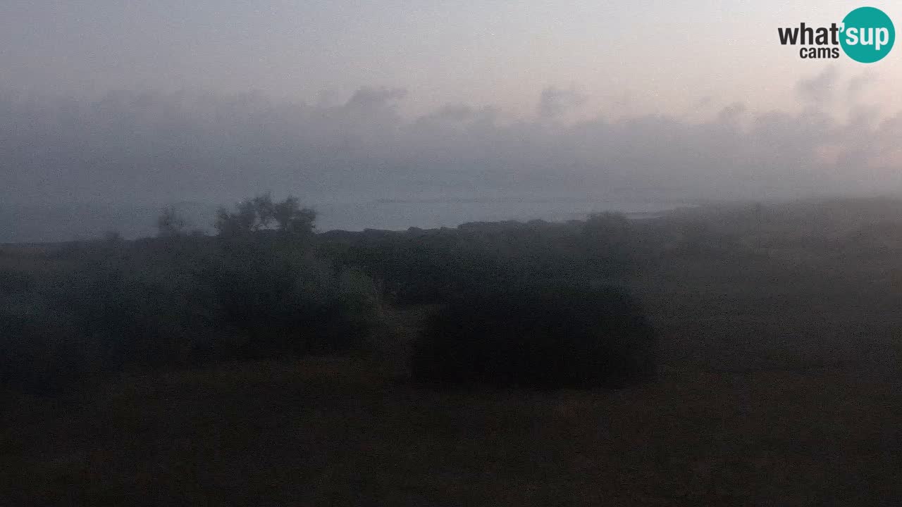 Mari Ermi Strand | Is Arutas – Oristano